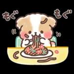 ふわふわシーズー 3歳児