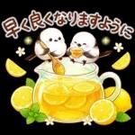 よろしくお願いします