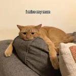 Sengiya ku vuma. I yes you.