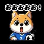 サッカー大好きな柴犬