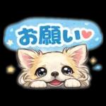 ブラン&プティ第2弾♡