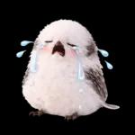 とってもかわいい♡シマエナガちゃん