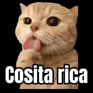 cosita rica - getsticker.com