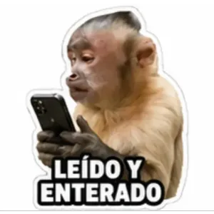 LEÍDO Y ENTERADO - getsticker.com