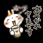 女子力UP！白うさぎさん日常パック ２