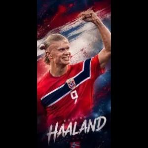 ERLING HAALAND NORWAY - getsticker.com