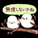 春のシマエナガ♪