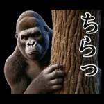 【冬】イケメンゴリラ