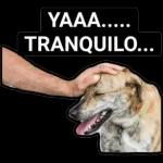 Pegatinas de gatos y perros