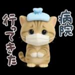 ねこちぃず♡ぐったり涙といたわり