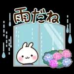 うさぎさん 春・梅雨・初夏