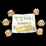 찌그러진 누룽쥐