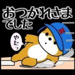 飛び出す！豆柴「野球と日常」