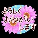 春✿明るい花で幸せ呼び込む✿やさしい声かけ