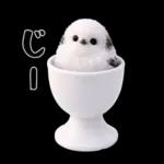 とってもかわいい♡シマエナガちゃん