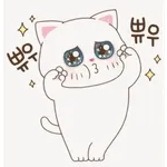 귀여운 새끼 고양이