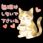 猫がいっぱい♡ふんわり可愛い秋＆冬