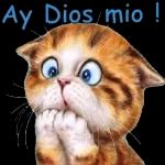Toma besito