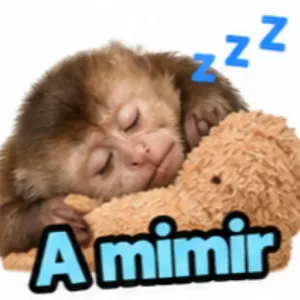 Z zz Amimir - getsticker.com