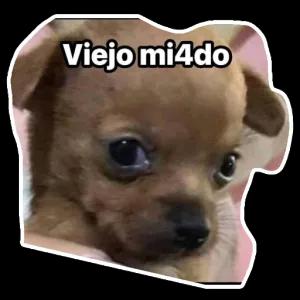 Viejo mi4do - getsticker.com