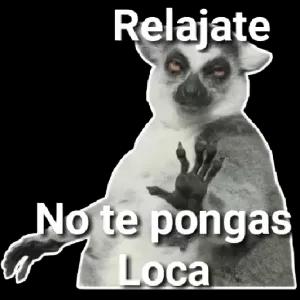 Relajate, No te pongas Loca - getsticker.com