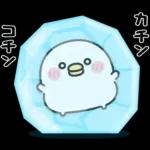 ちびトリ★冬の日常