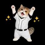 野球をする猫