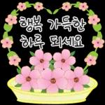 가정의 달 꽃 선물