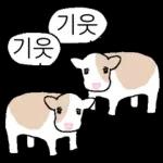 호기심 많은 소