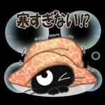 黒ねこの秋・冬便り