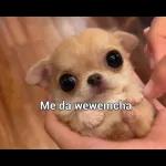 embeces la bida no es como keremos