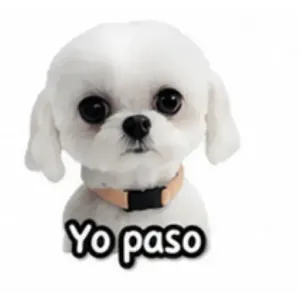 Yo paso - getsticker.com