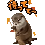 飛び出す！カワウソ