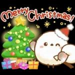 正月エナガさんとシマエナガさん2