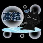 黒ねこの秋・冬便り