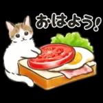 夏の毎日☆猫たちのスタンプ２