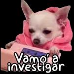lpatrona