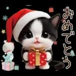 可愛いハチワレ猫 サンタ帽 冬 気づかい