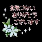 new year2023.12resale