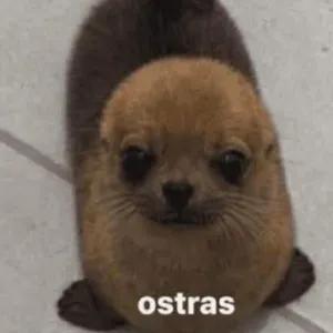 ostras - getsticker.com