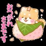 和菓子で敬語❤️いやしばいぬ❤️柴犬