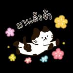 บิสเก็ต & เพื่อนๆ