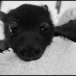 OLHA SÉRIO NA MORAL SINCERAMENTE SEM CONDIÇÕES