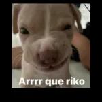 Arrr que riko