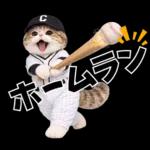 野球をする猫