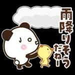 パンダ＆ひよこ 梅雨・夏