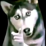 buenas tardes Mercado Libre