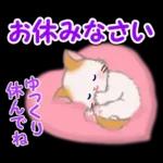 もふもふしっぽの子猫ちゃん　毎日使う言葉