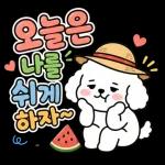 신나는 여름멍이 일상