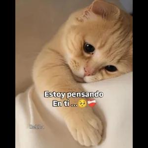 Estoy pensando En ti... - getsticker.com